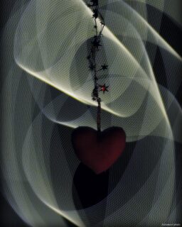 #light #lightphotography #lightpainting #lightart #light #longexposure #love #drawwithlight #photographyart #photographer #paintingwithlight #paintingwithlightphotography #artphoto #artphotographer